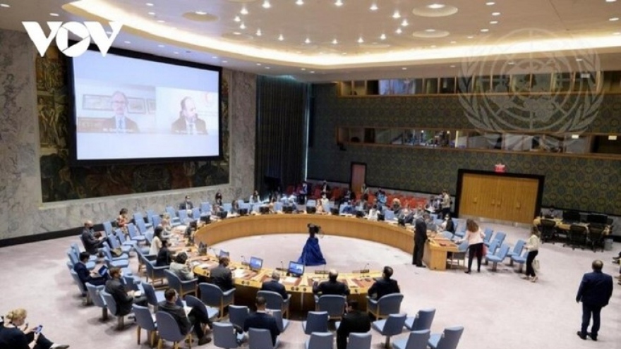 Hội đồng Bảo an Liên Hợp Quốc họp định kỳ về vấn đề vũ khí hoá học tại Syria