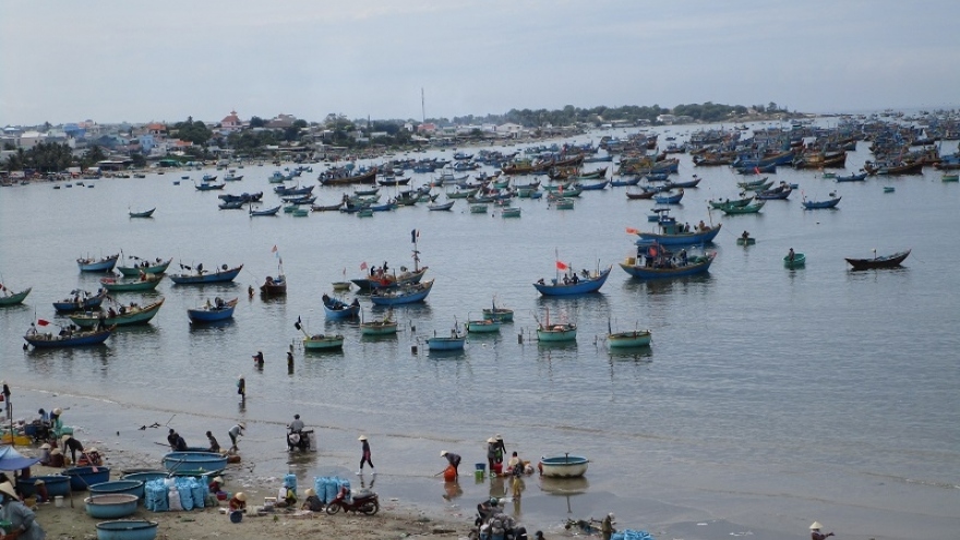 Bình Thuận yêu cầu các địa phương chủ động ứng phó với siêu bão RAI