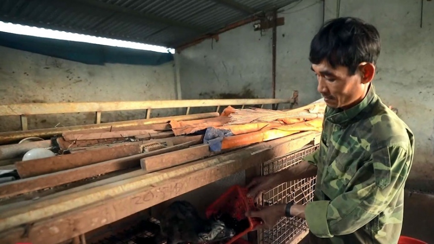 Video: Cận cảnh quy trình sản xuất cà phê chồn của nông dân Đắk Nông