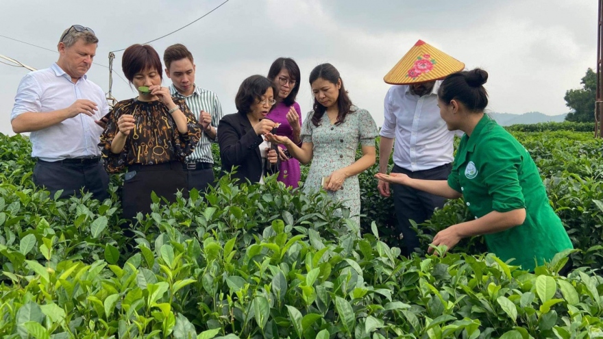 Thái Nguyên phát triển du lịch cộng đồng gắn với trải nghiệm nông nghiệp