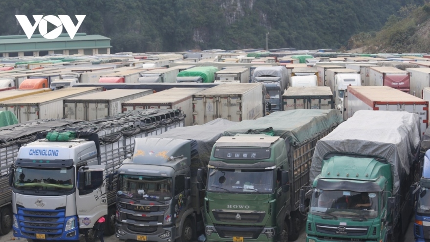 Xuất khẩu sang Trung Quốc: Nên xem xét vận chuyển hàng hóa bằng đường sắt và đường biển