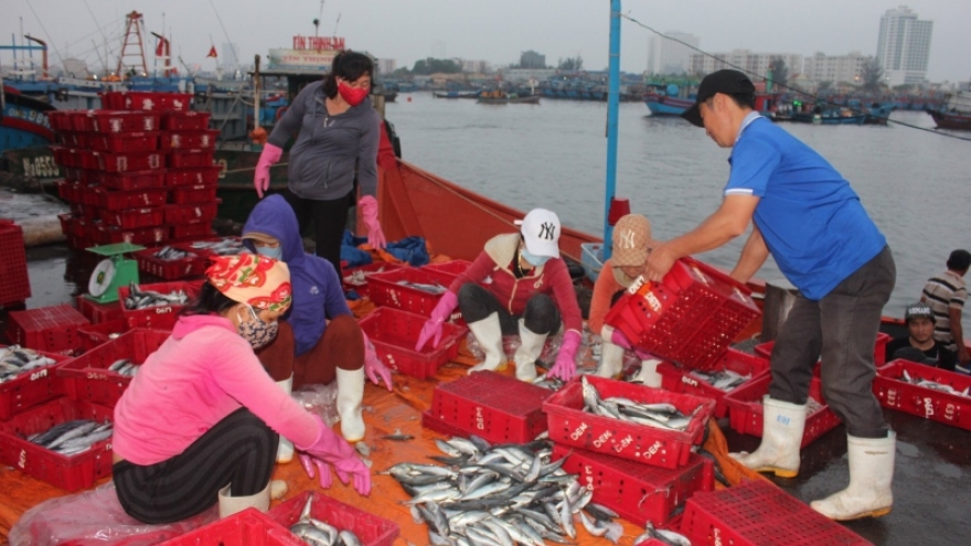 Ngư dân Đà Nẵng đảm bảo an toàn ra khơi mùa biển động