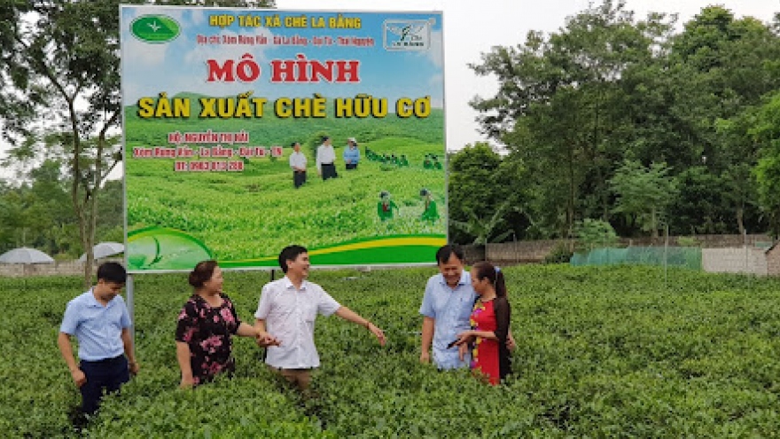 Thái Nguyên hướng đến sản xuất nông nghiệp hữu cơ bền vững