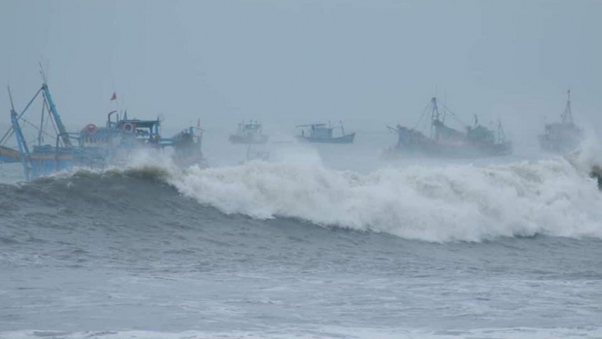 8 tàu thuyền bị bão số 9 đánh chìm ở Bình Thuận gây thiệt hại khoảng 1,3 tỷ đồng