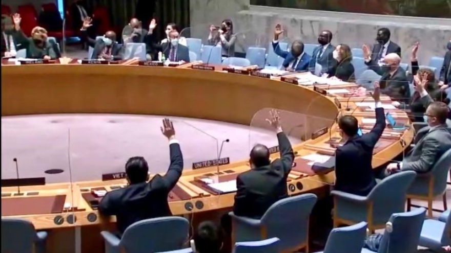 Hội đồng Bảo an Liên Hợp Quốc thảo luận định kỳ về tình hình khu vực Trung Phi