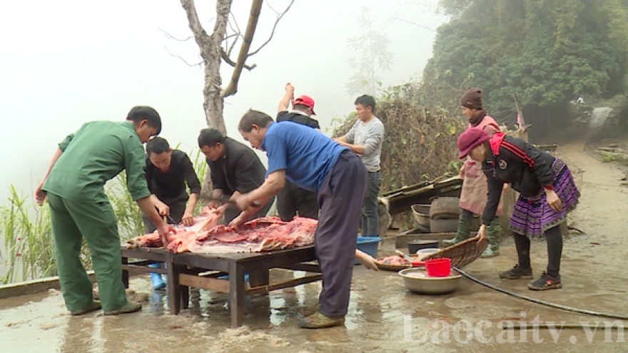 Người dân vùng cao Lào Cai mổ lợn đón Tết.