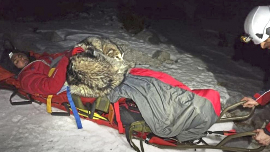 Chú chó trung thành ở bên và sưởi ấm cho chủ suốt 13 tiếng sau khi gặp nạn trên núi tuyết