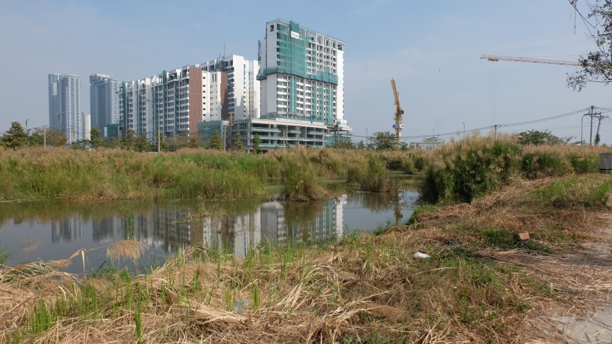 Tân Hoàng Minh xin bỏ cọc lô đất trúng đấu giá hơn 2,4 tỷ đồng/m2 tại Thủ Thiêm