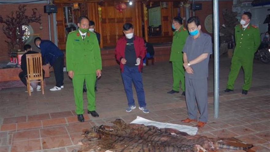 Phát hiện vụ giết hổ nấu cao tại nhà chủ tịch xã ở Thái Nguyên