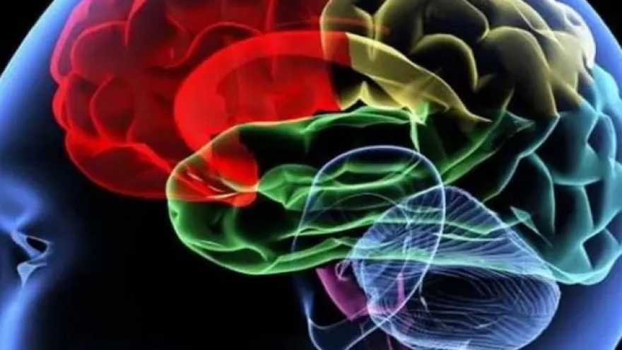 Nghiên cứu khoa học vô tình ghi nhận não của một người sắp chết nghĩ gì