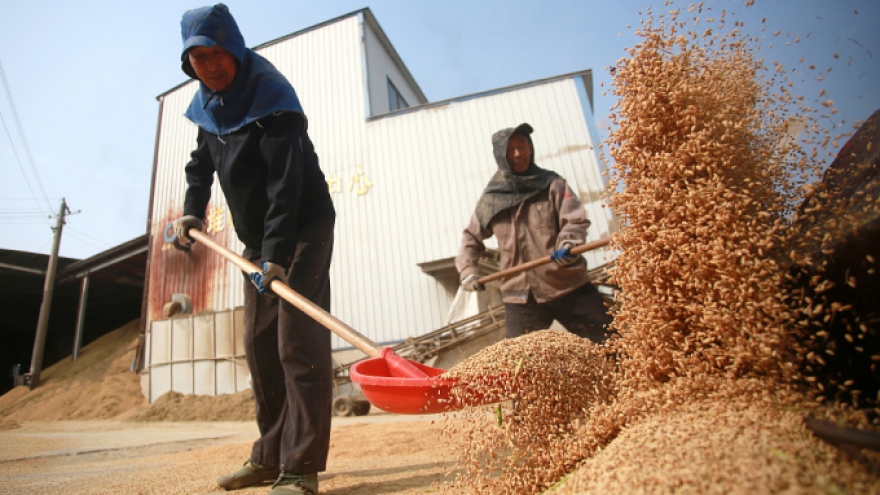 Trung Quốc: Văn kiện số 1 tập trung vào an ninh lương thực và ngăn tái nghèo