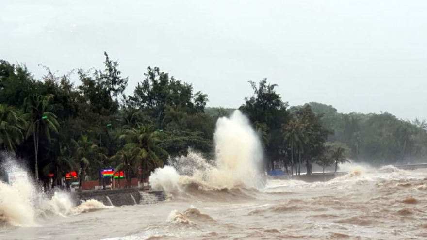 Các tỉnh từ Quảng Ninh đến Bình Thuận ứng phó với gió mạnh trên biển