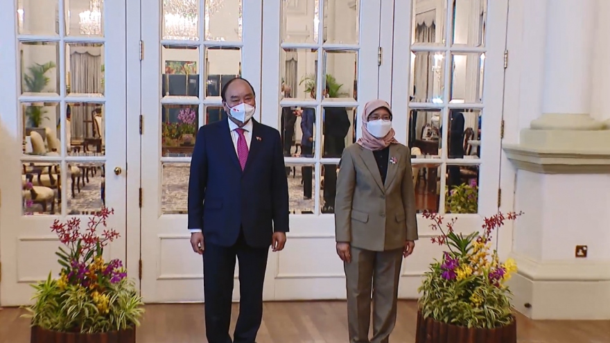 Chủ tịch nước Nguyễn Xuân Phúc hội kiến Tổng thống Singapore Halimah Yacob