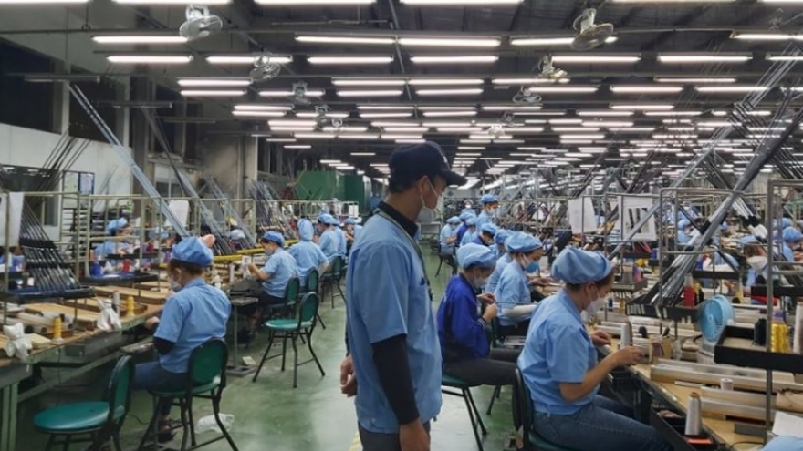 Hơn 96% lao động ở Đà Nẵng đã trở lại làm việc sau hơn một tuần nghỉ Tết