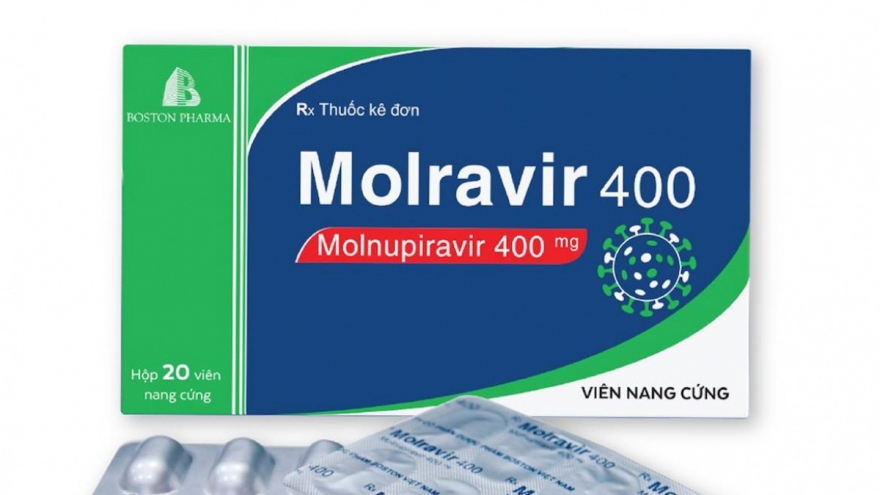 Thuốc kháng virus Molnupiravir có ảnh hưởng đến sức khỏe sinh sản?