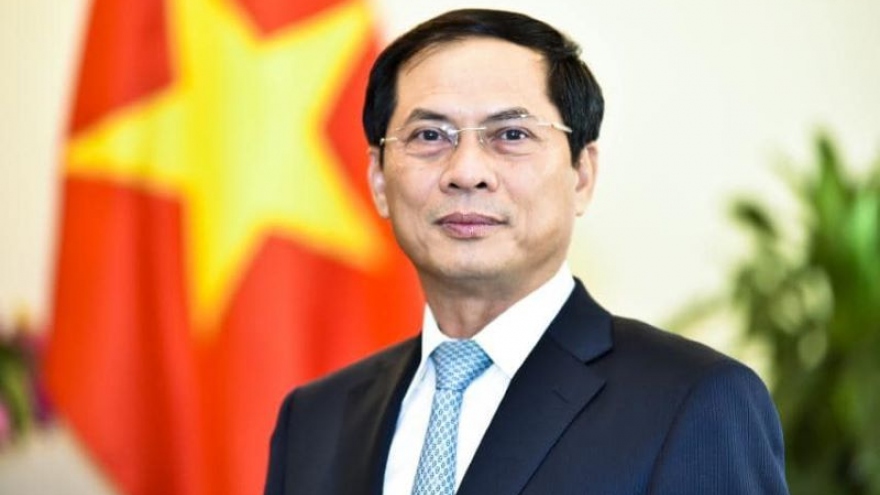 Bộ trưởng Ngoại giao Bùi Thanh Sơn thăm chính thức Hàn Quốc