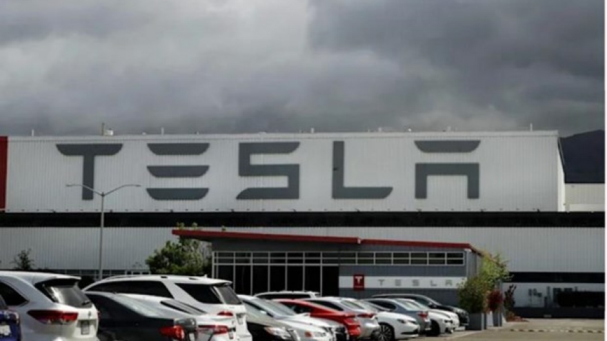 Ô tô điện Tesla ở Mỹ bị điều tra vì sự cố phanh ảo