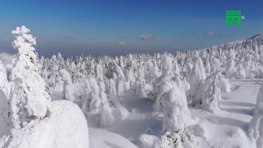 Khu rừng tuyết phủ tạo thành những hình thù kỳ lạ