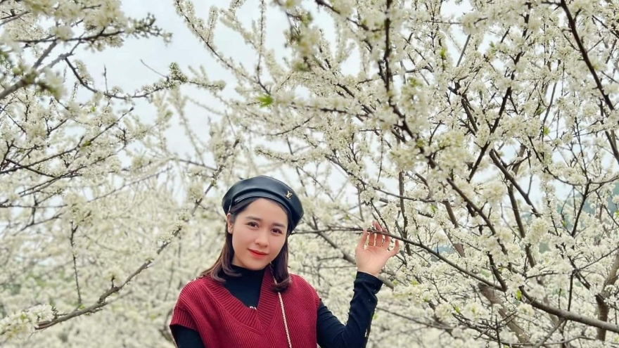 Hoa mận nở “trắng trời” đẹp như vườn cổ tích ở Bắc Giang