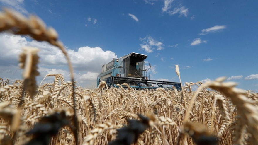Xung đột Nga - Ukraine đẩy thế giới đến bờ vực khủng hoảng lương thực