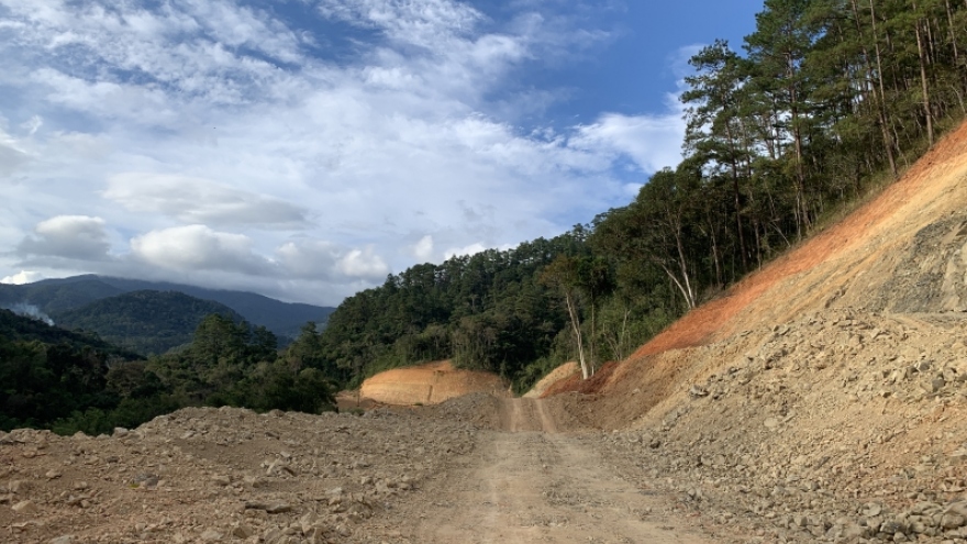 Đắk Lắk lập tổ công tác xác minh sai phạm vụ phá rừng Vườn Quốc gia làm đường
