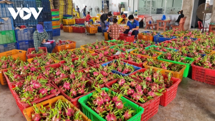 Căng thẳng Nga - Ukraine: Doanh nghiệp nông sản Việt gặp khó trong thanh toán