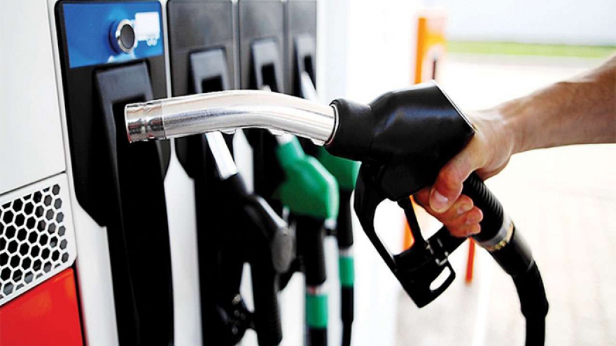 Giá xăng dầu tăng cao, Chính phủ một số nước hỗ trợ người dân và doanh nghiệp