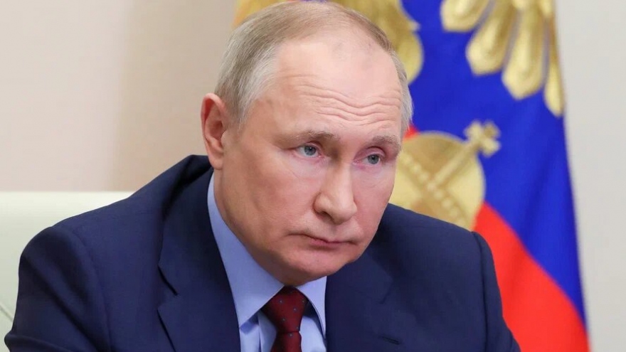 Tổng thống Putin: Nga sẽ chưa áp dụng cấp phép xuất khẩu phân bón