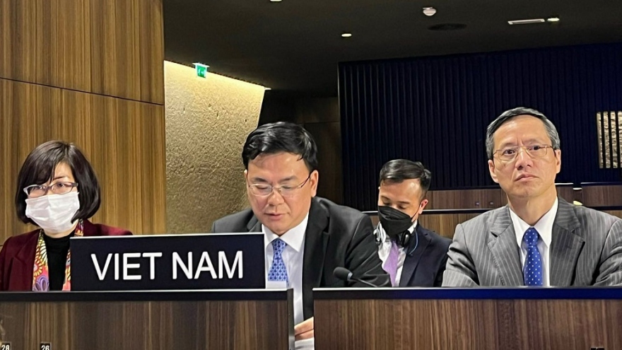 Việt Nam thúc đẩy các sứ mệnh “xây dựng hoà bình trong tâm trí con người” tại UNESCO 