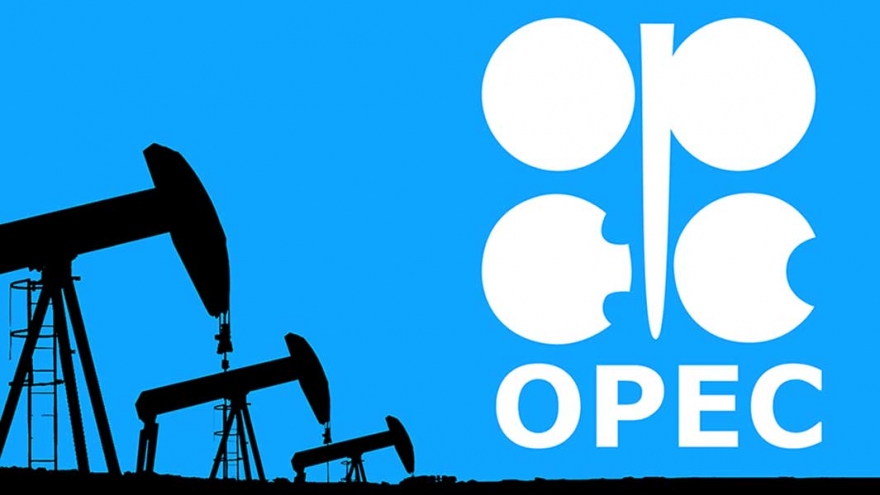 Tìm nguồn cung thay thế Nga: EU hỏi, OPEC trả lời