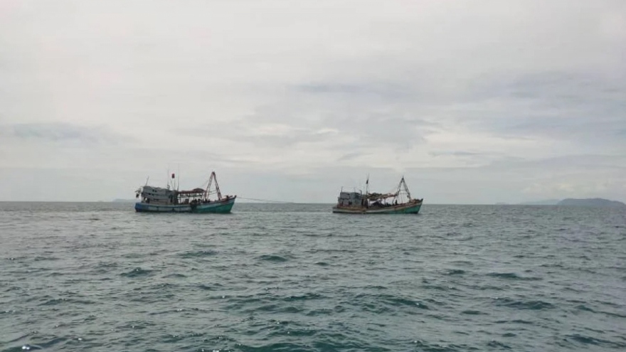 Xử lý nghiêm tổ chức, cá nhân khai thác hải sản trái phép tại vùng biển nước ngoài