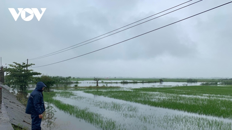 2.600 lồng bè bị thiệt hại do mưa lũ ở miền Trung