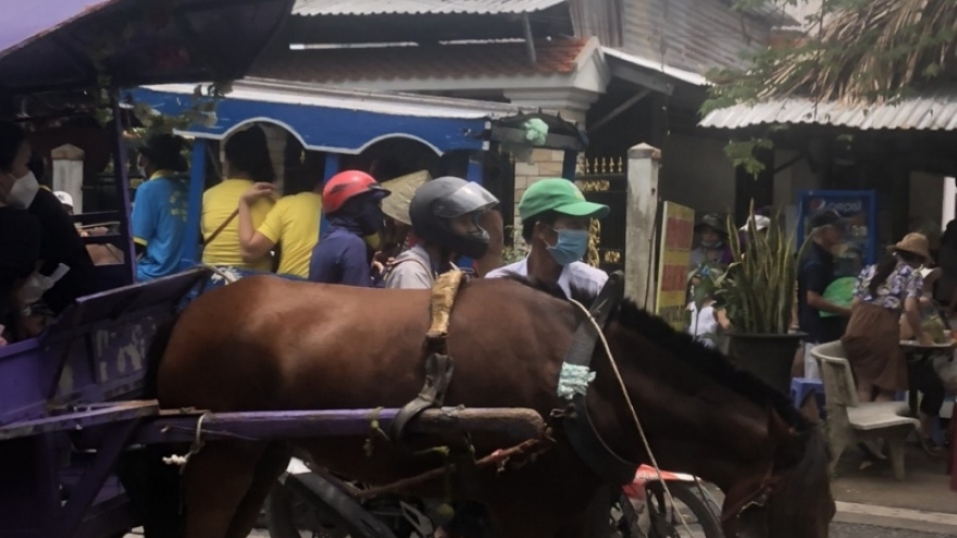 Các điểm du lịch ở Tiền Giang đông khách dịp nghỉ lễ