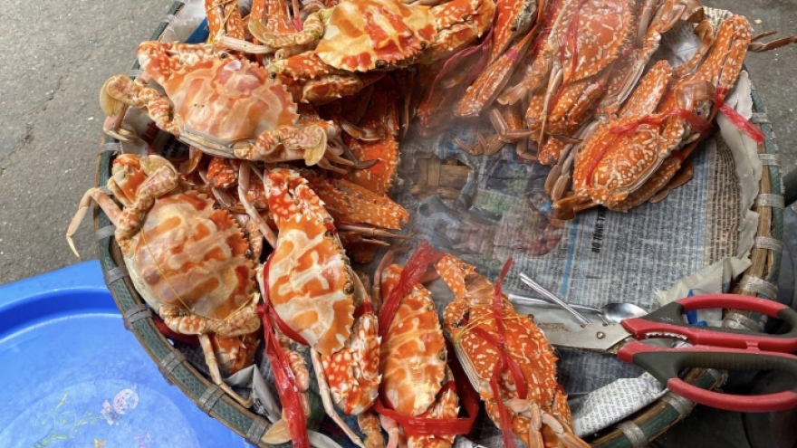 Bán hải sản vỉa hè Hà Nội kiếm chục triệu đồng mỗi ngày