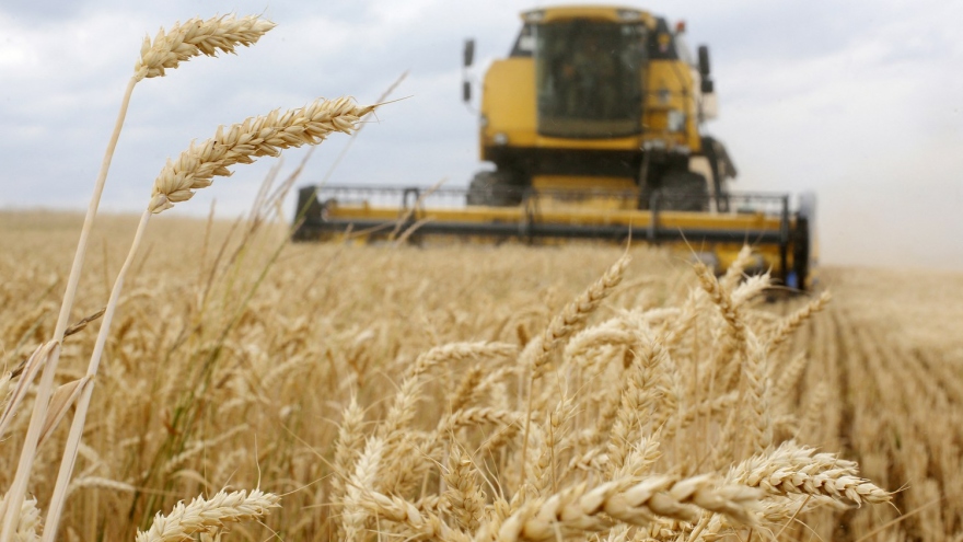 Những nước bị ảnh hưởng nặng nề vì khủng hoảng ngũ cốc Ukraine
