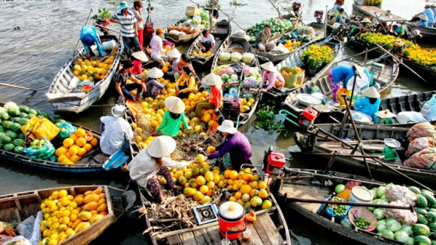Cai Rang floating market cultural festival to kick off in July