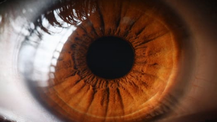 Nghiên cứu: Khám mắt có thể dự đoán nguy cơ đau tim
