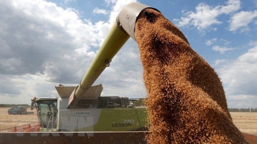 Nga xác nhận vòng đàm phán mới về "hành lang ngũ cốc" của Ukraine