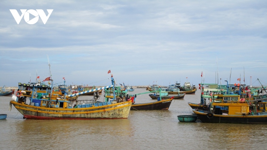 Mất liên lạc với tàu cá chở 16 thuyền viên trên vùng biển Bình Thuận