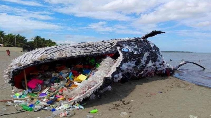 Phát động giải báo chí "Giảm ô nhiễm nhựa đại dương" năm 2022