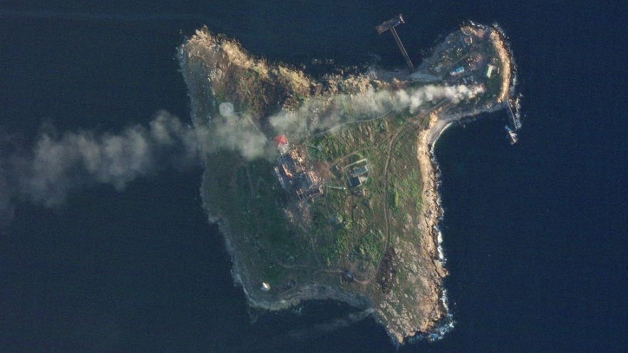 Lầu Năm Góc nhận định lý do Nga rút khỏi đảo Rắn
