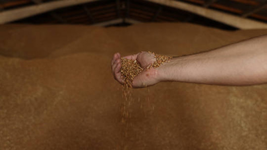 Mỹ và Ukraine tìm “Kế hoạch B” cho xuất khẩu ngũ cốc