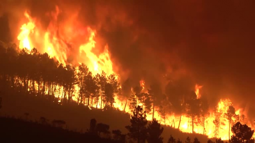 Cháy rừng thiêu rụi 16.000 ha trong khu bảo tồn lớn nhất Bồ Đào Nha