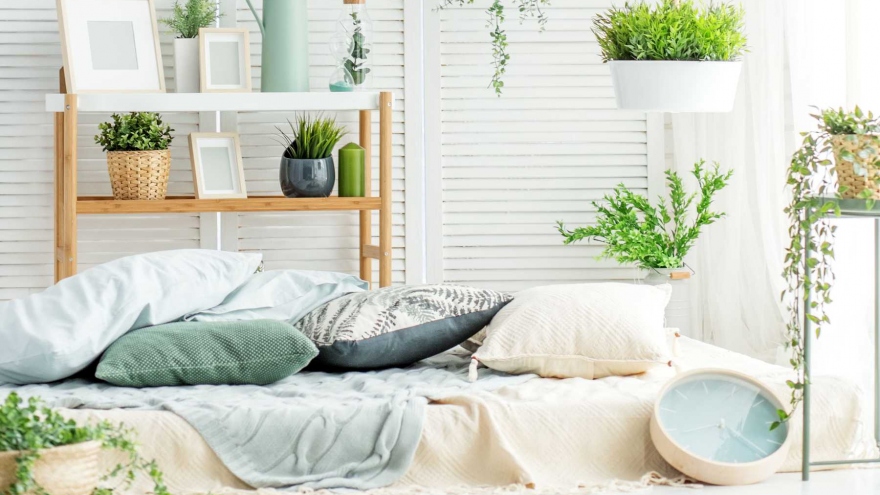Những loại cây đặt trong phòng ngủ giúp bạn có những giấc ngủ ngon