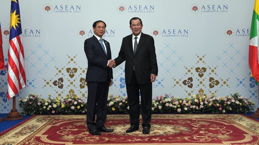 Bộ trưởng Ngoại giao Bùi Thanh Sơn chào xã giao Thủ tướng Hun Sen
