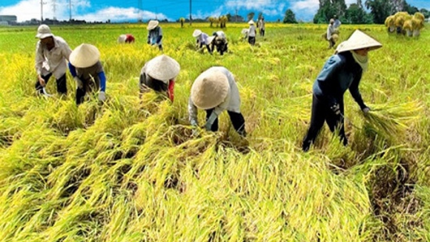 Chỉ thị 16 của Ban Bí thư về ĐH Hội nông dân các cấp và ĐH Hội Nông dân Việt Nam