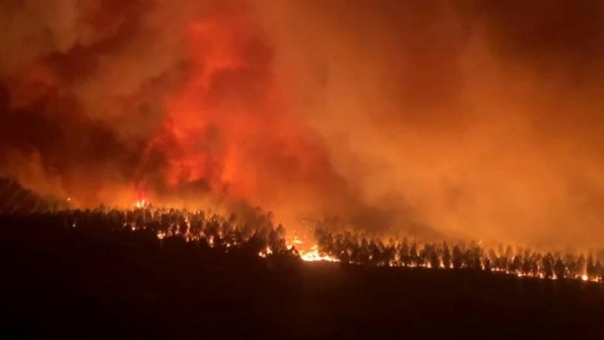 Pháp chật vật đối phó với trận cháy rừng “quái vật” thiêu rụi mọi thứ