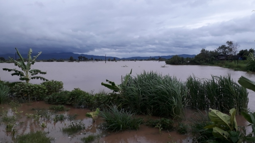 125 nhà dân và hơn 1.500 ha lúa và hoa màu ở Gia Lai bị ngập lụt