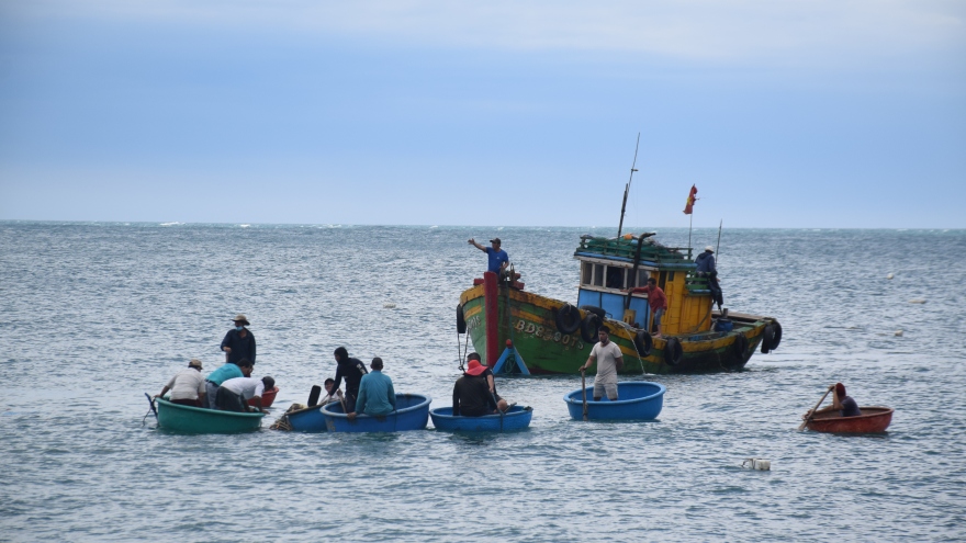 
        Tàu cá Bình Định cứu 2 ngư dân trôi dạt trên biển
                              