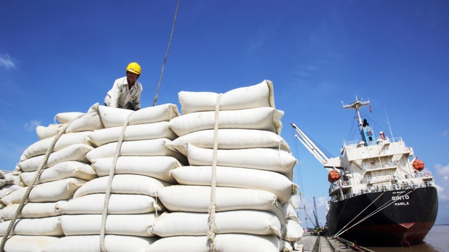 Thủ tướng yêu cầu nghiên cứu việc Ấn Độ cấm xuất khẩu gạo, ổn định thị trường